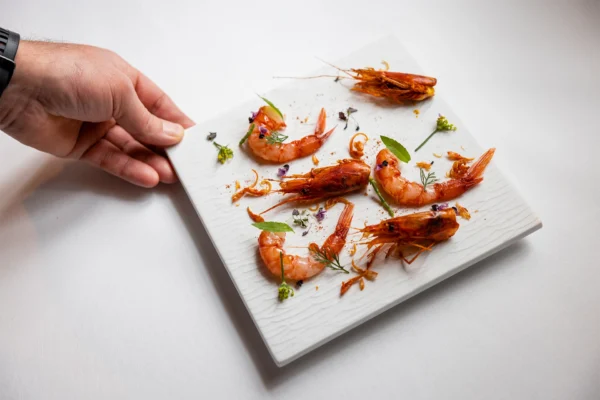 Gasthaus Löwen Menzingen, Gourmet Restaurant, Fine Dine, Gastro, Kochkreationen, Foodfotografie, Remy Steiner Photography, Franco Körperich